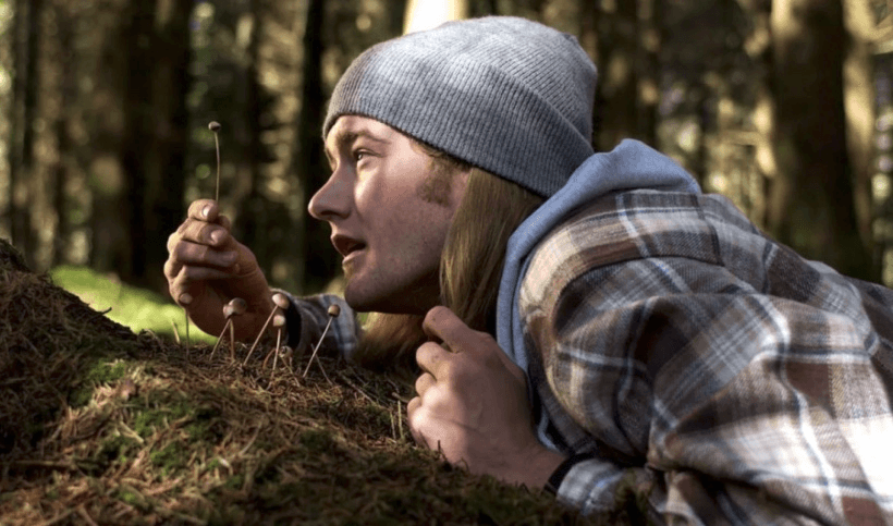 Майже безкоштовні гриби від AltexSoft