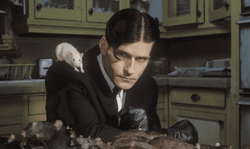 Сбежавшие айтишники забеспокоились о том, что их станут возвращать домой в Украину