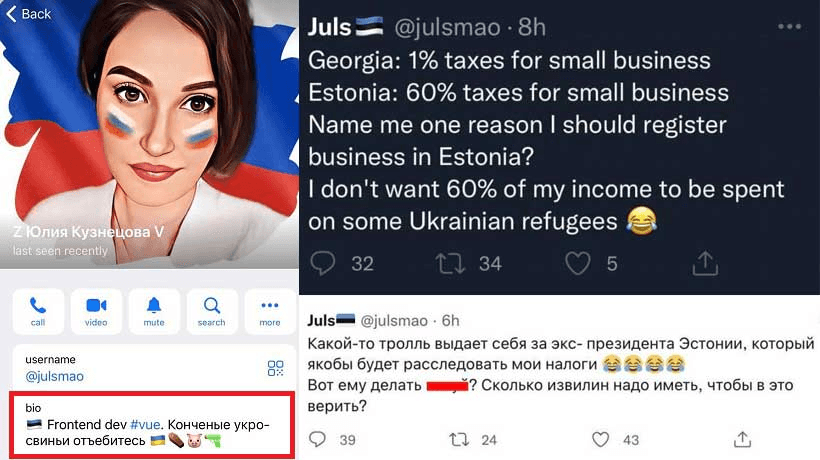 Как ватная фемка-вайтишница пряталась от налогов, вылетела на мороз и оскорбила экс-президента Эстонии