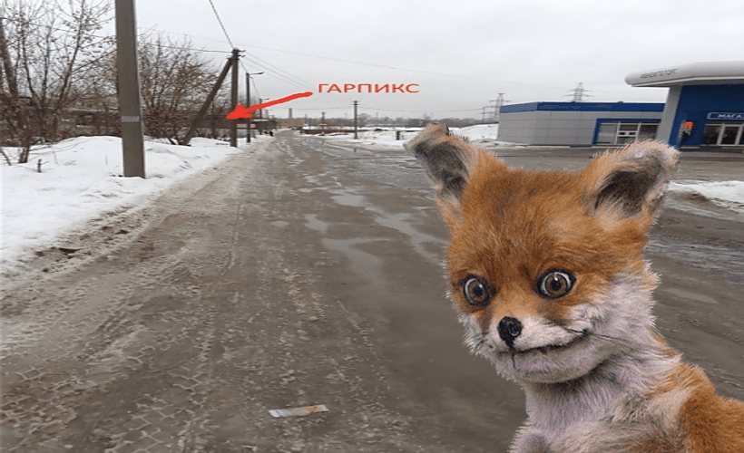 ООО «Гарпикс», взгляд изнутри