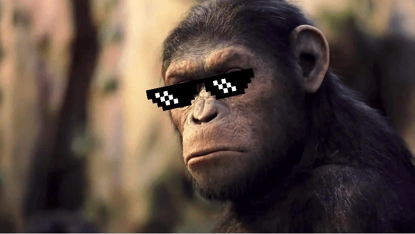 QA-макака довыёбывался до увольнения ещё перед первым рабочим днём, но смог востребовать компенсацию в полторы зарплаты