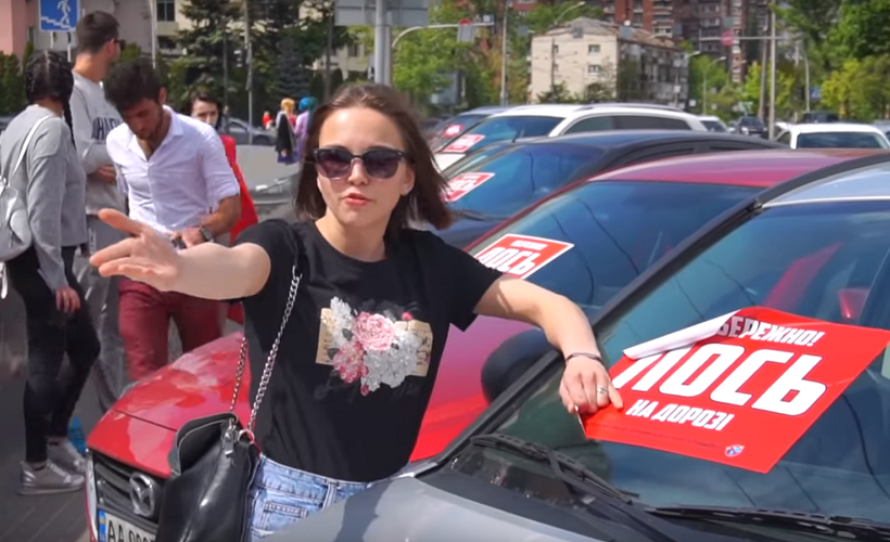 HR-лосиха нарушает ПДД, и еще выебывается